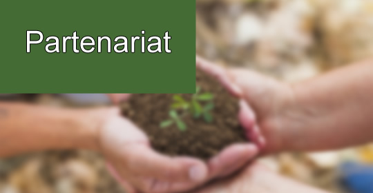 partenariat.jpg